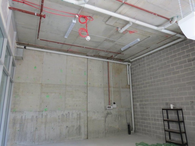 Shop 1/350 Oxford Street, Bondi Junction NSW 2022