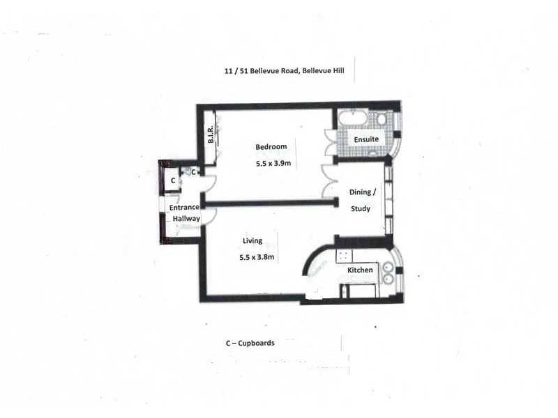 11/51 Bellevue Road, Bellevue Hill NSW 2023