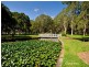 1/364 Moore Park Road, Paddington NSW 2021
