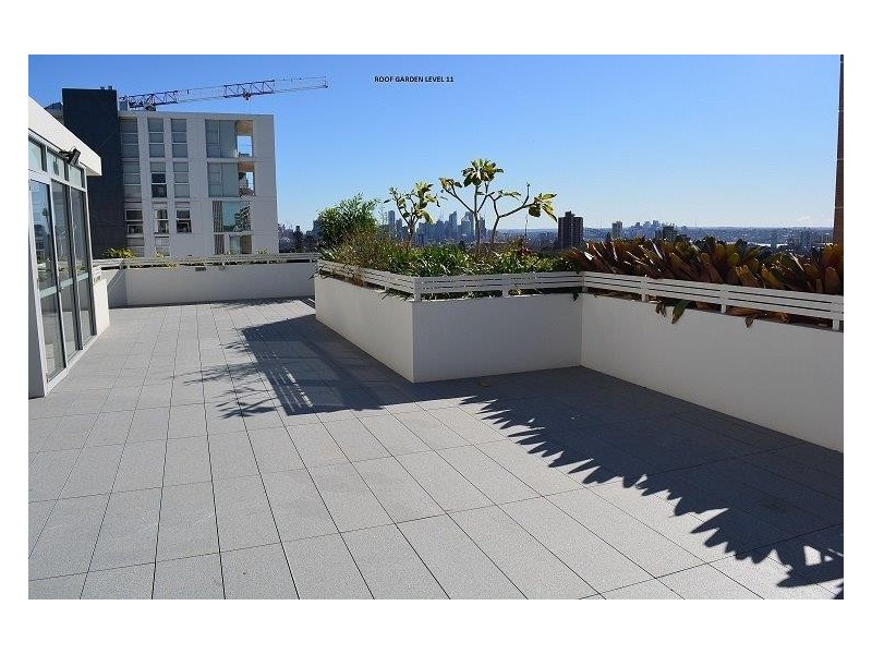 204/350 Oxford Street, Bondi Junction NSW 2022