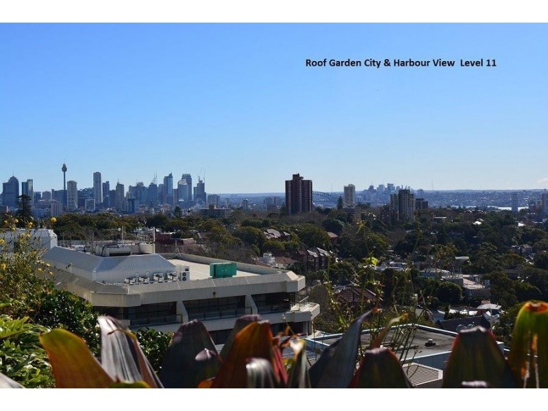 204/350 Oxford Street, Bondi Junction NSW 2022