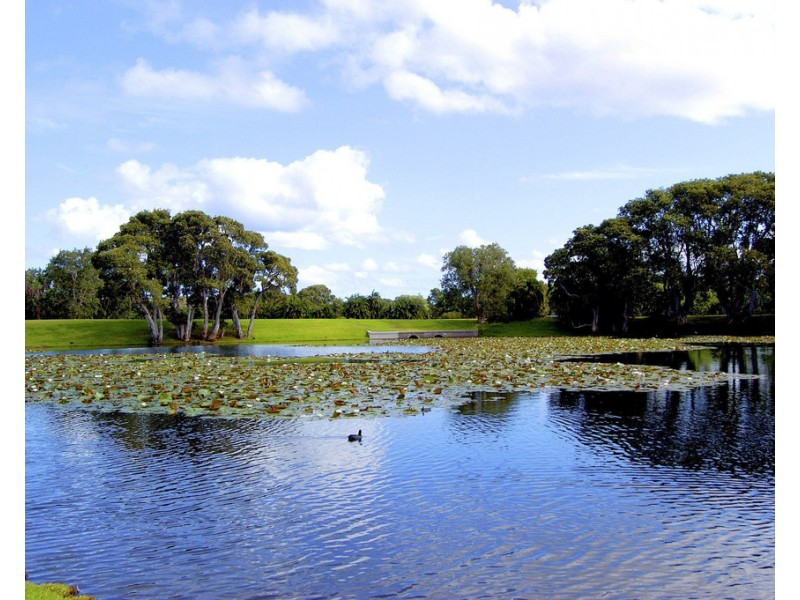 104 Newland Street, Bondi Junction NSW 2022