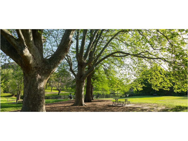 60 Wentworth Street, Randwick NSW 2031