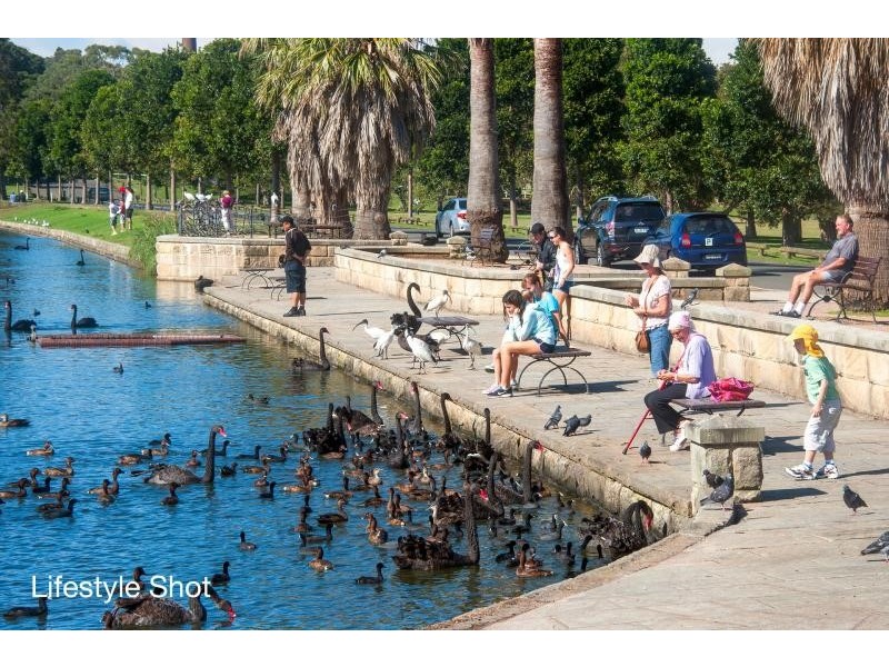 60 Wentworth Street, Randwick NSW 2031