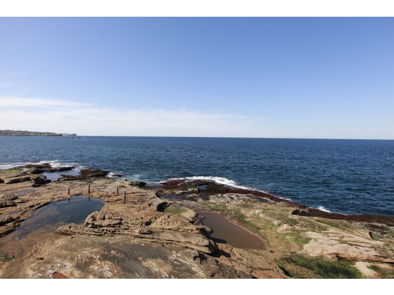 17 Cuzco Street, South Coogee NSW 2034