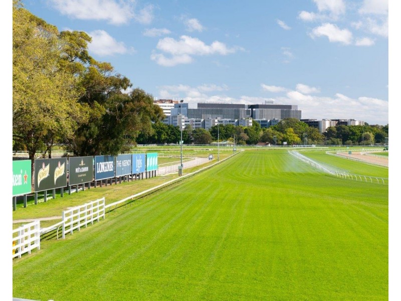 167 Alison Road, Randwick NSW 2031