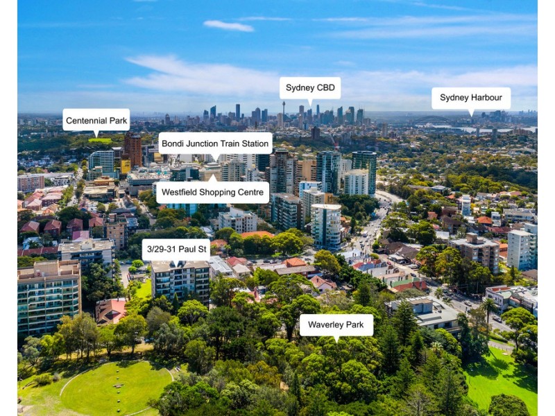 3/29-31 Paul Street, Bondi Junction NSW 2022