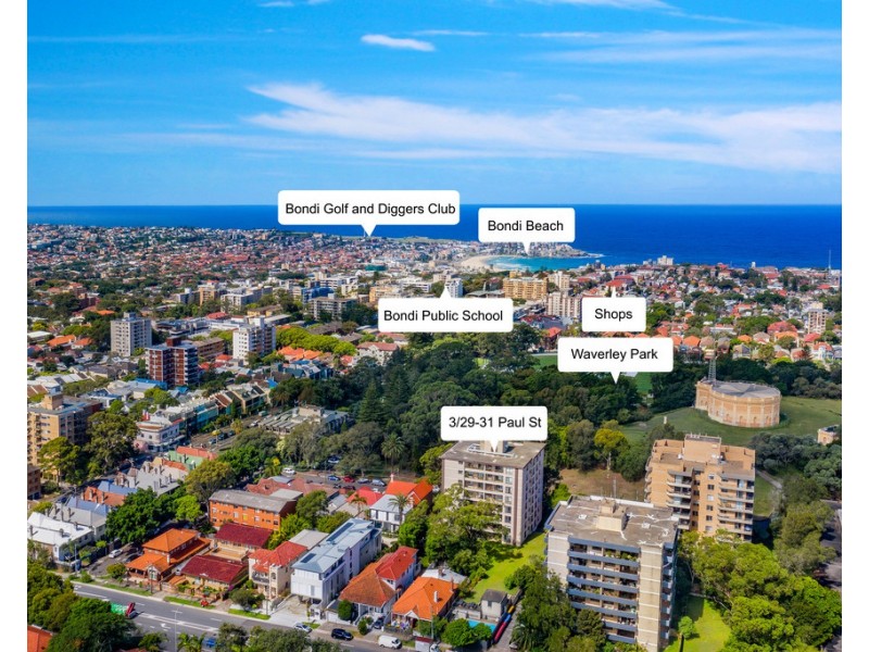 3/29-31 Paul Street, Bondi Junction NSW 2022