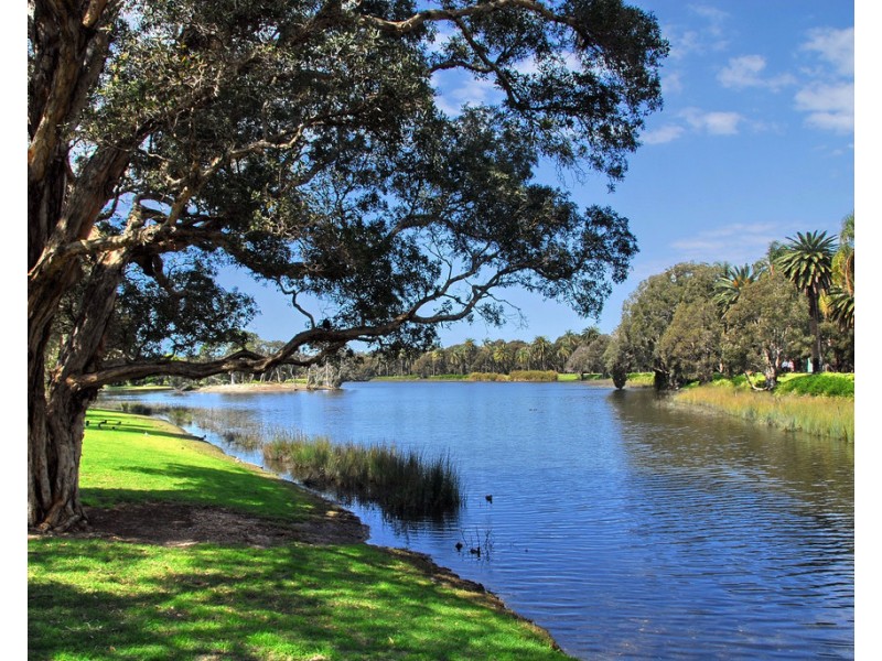 1/23 King Street, Randwick NSW 2031