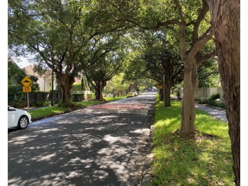 174 Newland Street, Queens Park NSW 2022