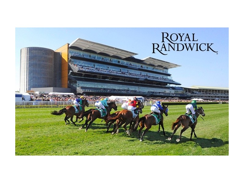 1/36a Prince Street, Randwick NSW 2031