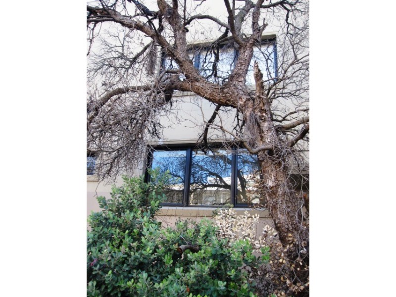 4/212 Bronte Road, Waverley NSW 2024