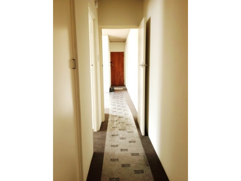 4/12 Porter Street, Bondi Junction NSW 2022