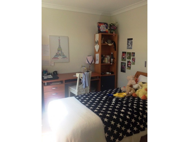 19 The Serpentine, Kensington NSW 2033