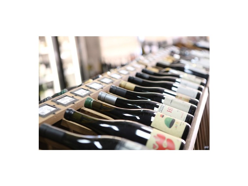 313A Homer Street, Earlwood NSW 2206