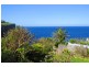 3/25 Kimberley Street, Vaucluse NSW 2030