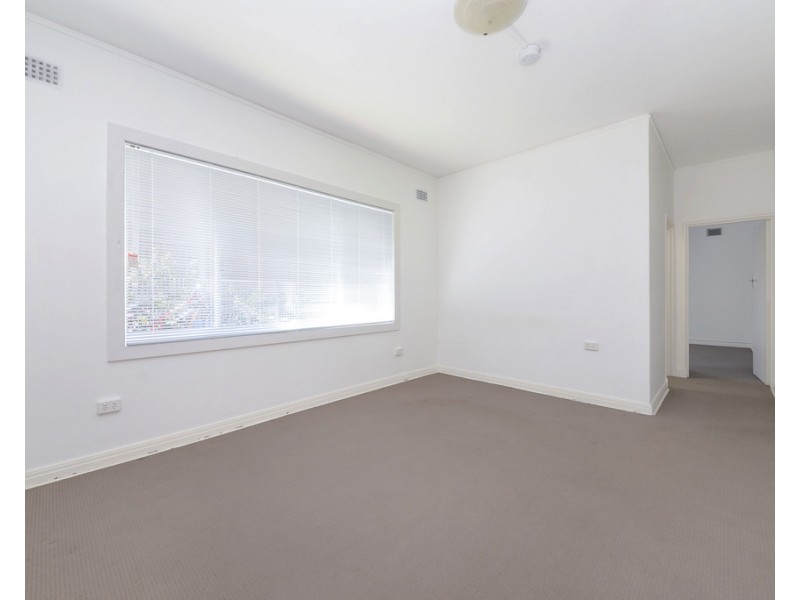 3/38 Botany Street, Bondi Junction NSW 2022