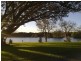 33 Prince Street, Randwick NSW 2031