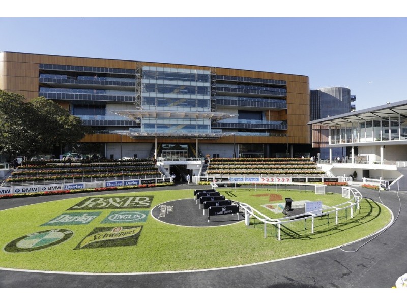 33 Prince Street, Randwick NSW 2031