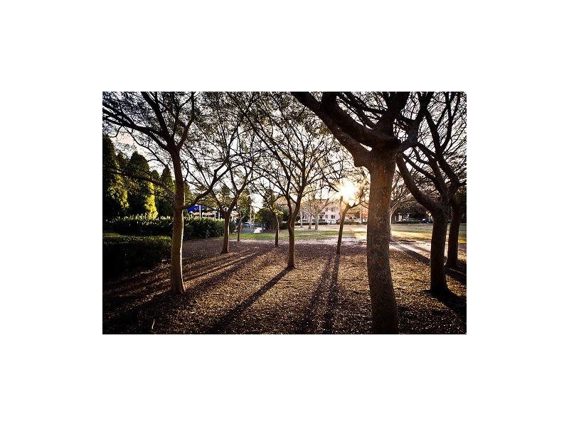 4/33 Prince Street, Randwick NSW 2031