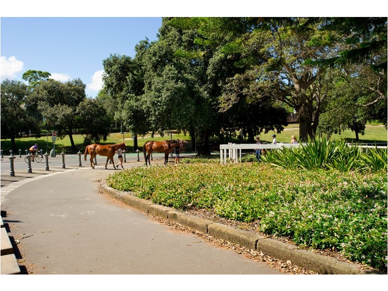 8 Oxford Street, Woollahra NSW 2025