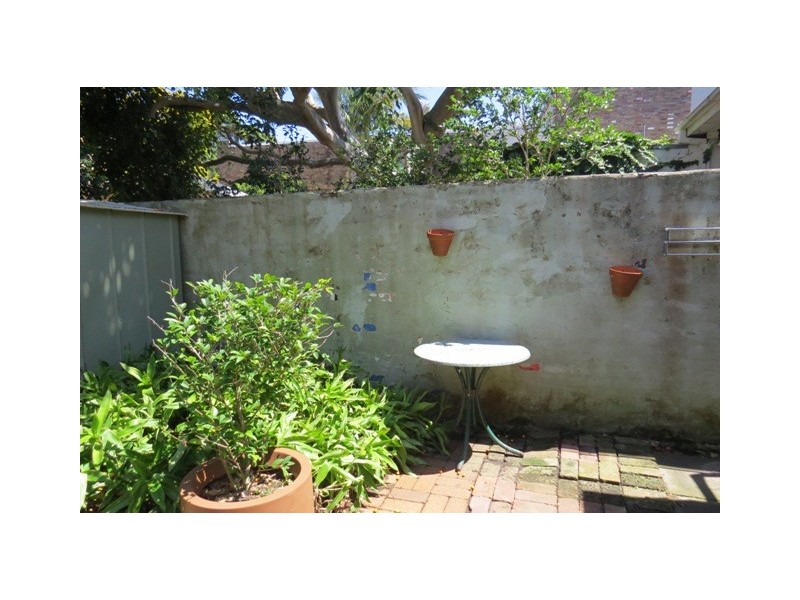 7A Albion Street, Waverley NSW 2024