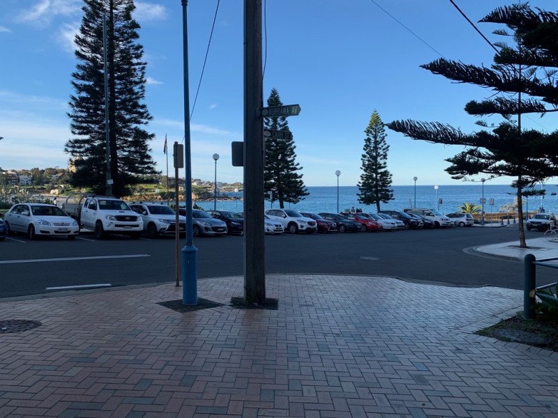 56 Carr Street, Coogee NSW 2034