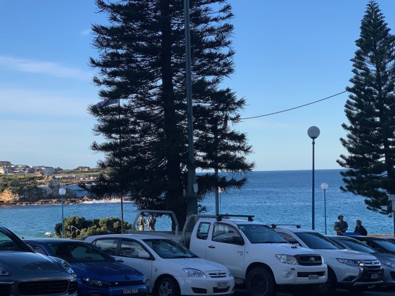 56 Carr Street, Coogee NSW 2034