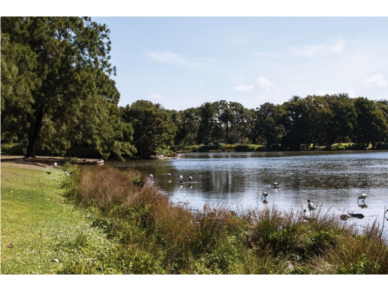 6/137 Carrington Road, Coogee NSW 2034