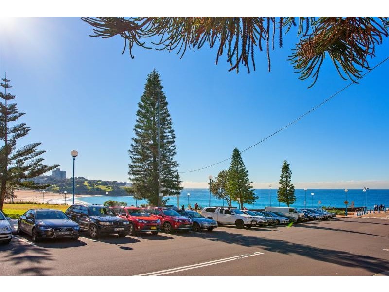 56 Carr Street, Coogee NSW 2034