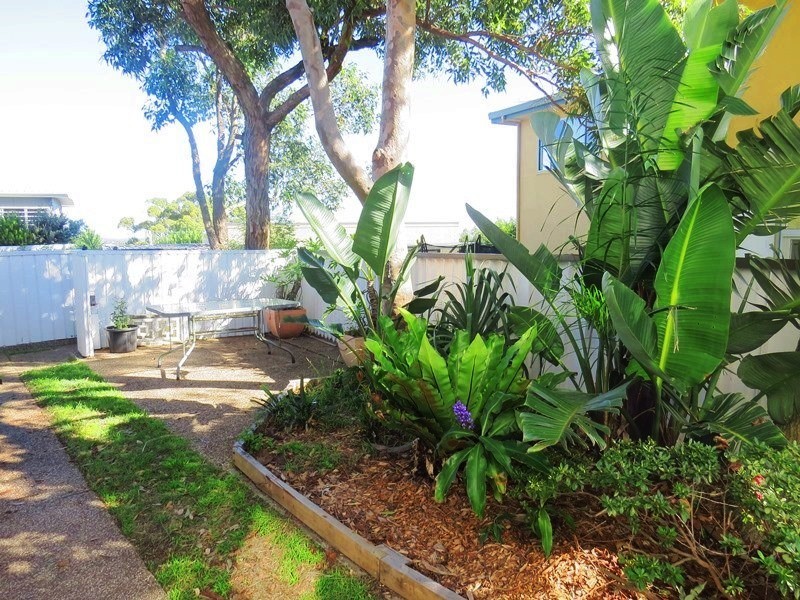3B Higgs Street, Coogee NSW 2034