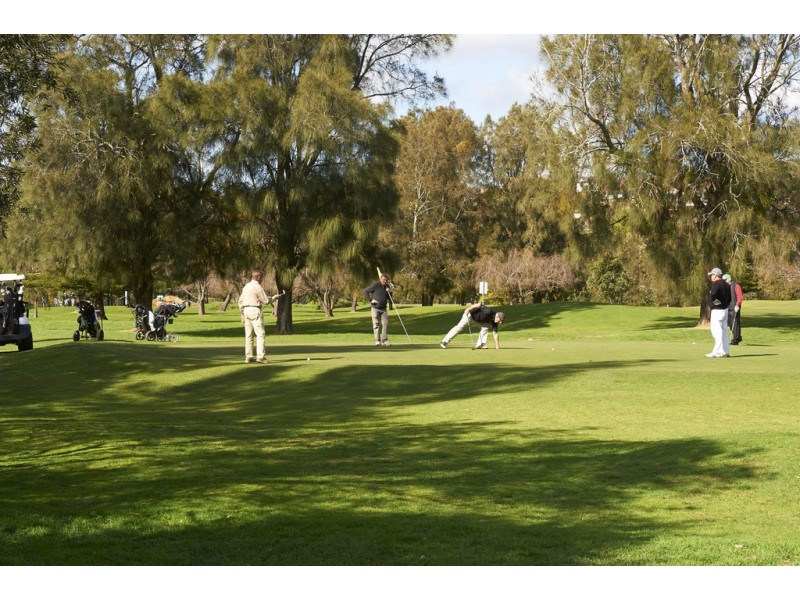 4.03/205 Homer Street, Earlwood NSW 2206