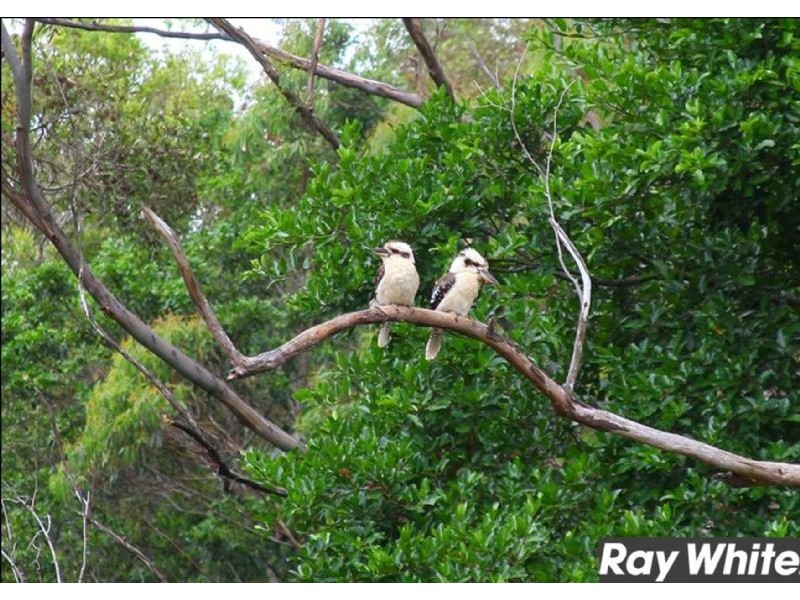 117 North Road, Lower Beechmont QLD 4211