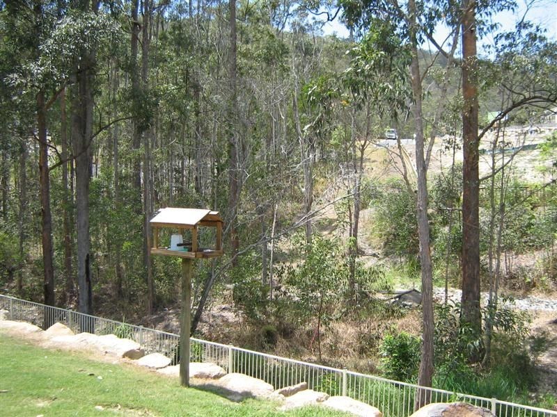 14 Silvereye Crct, Gilston QLD 4211