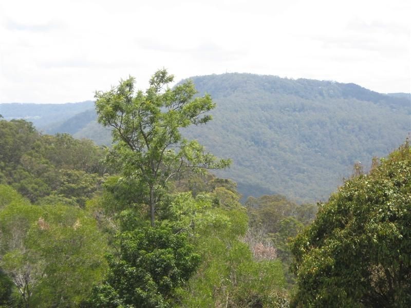 263 Darlington, Witheren QLD 4275