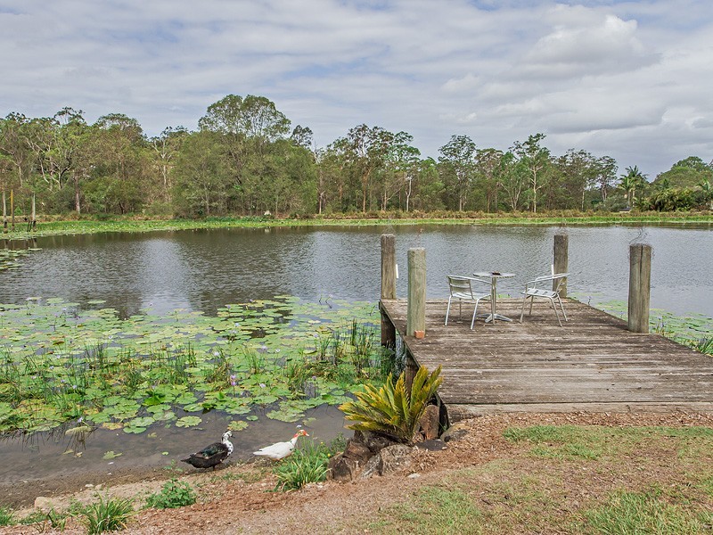 173 Country Crescent, Nerang QLD 4211