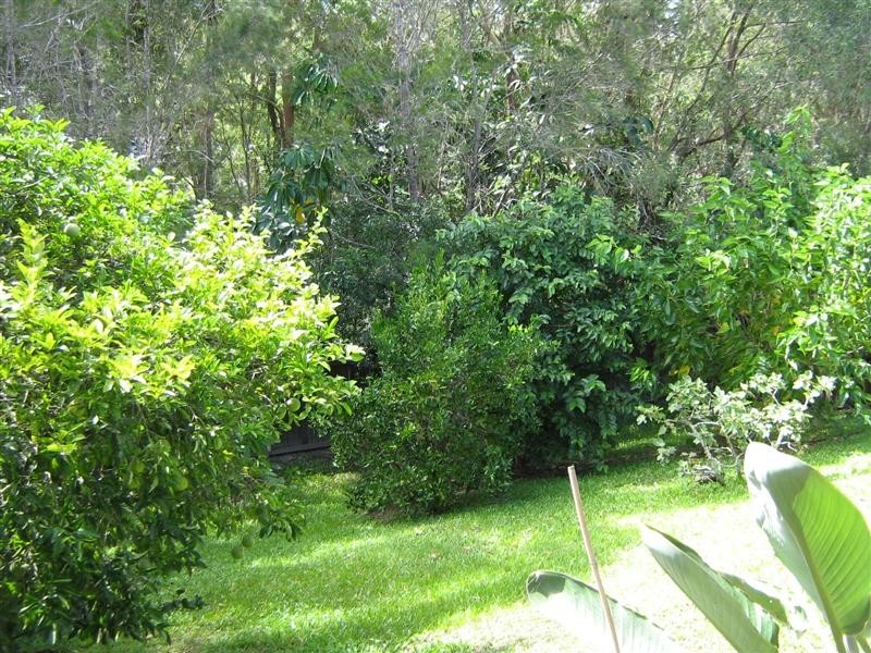 20 Rushworth Street, Worongary QLD 4213
