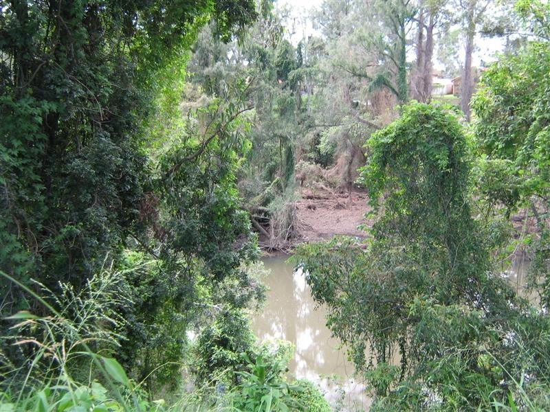 62 Koola Drive, Nerang QLD 4211