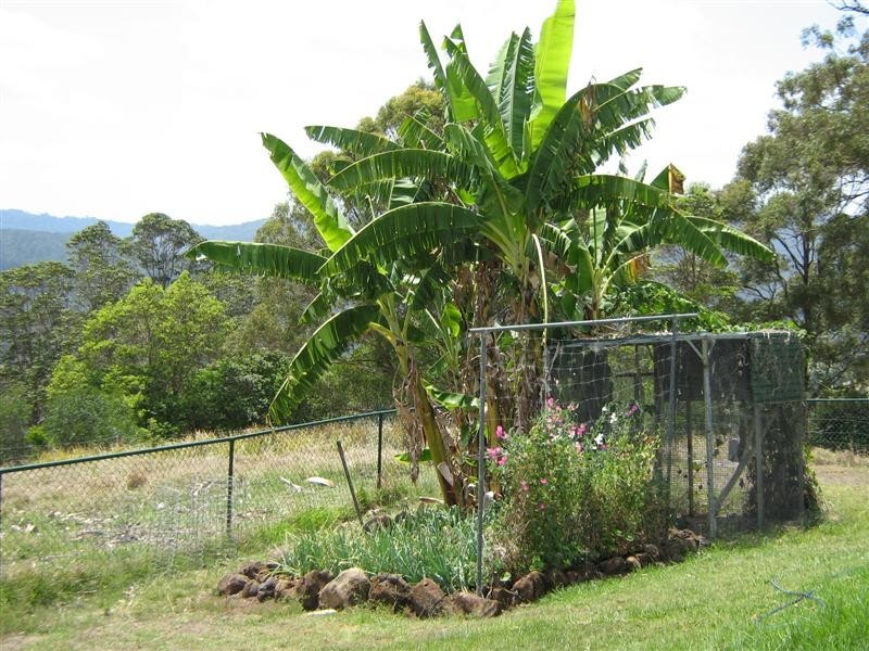 263 Darlington Range Road, Witheren QLD 4275