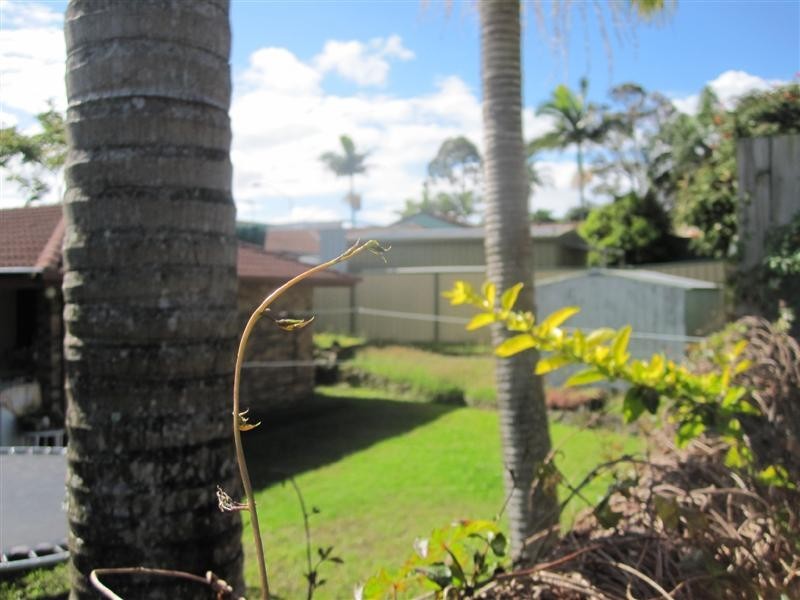 Highland Park QLD 4211