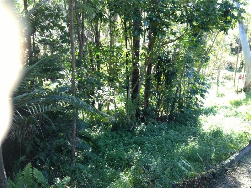 127 Castle Hill Drive North, Nerang QLD 4211