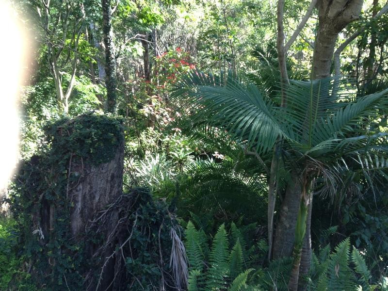 127 Castle Hill Drive North, Nerang QLD 4211