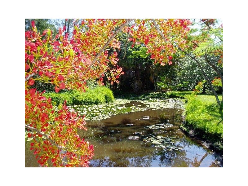 Lorikeet Lane 12 Oak Street, Nerang QLD 4211