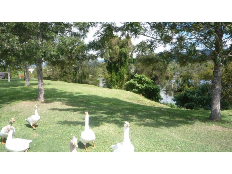 11 Silverash, Oxenford QLD 4210