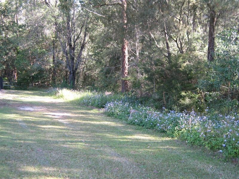 24 Lily Crescent, Nerang QLD 4211