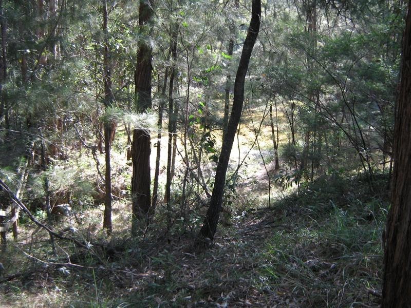 24 Lily Crescent, Nerang QLD 4211