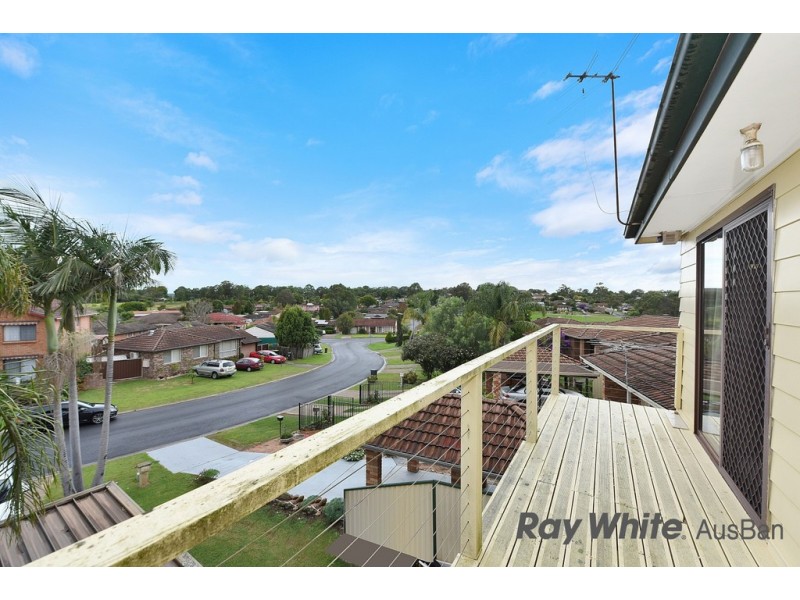 17 Campbell Close, Minto NSW 2566