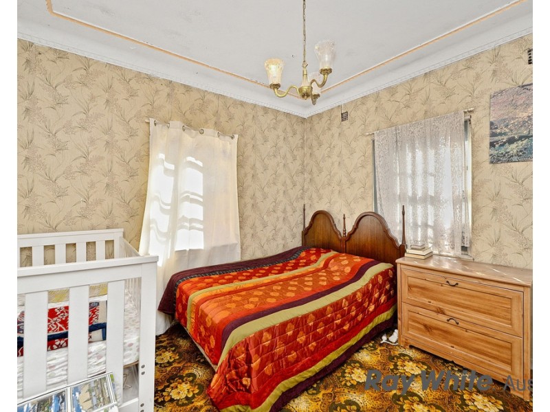 1113 Canterbury Road, Wiley Park NSW 2195