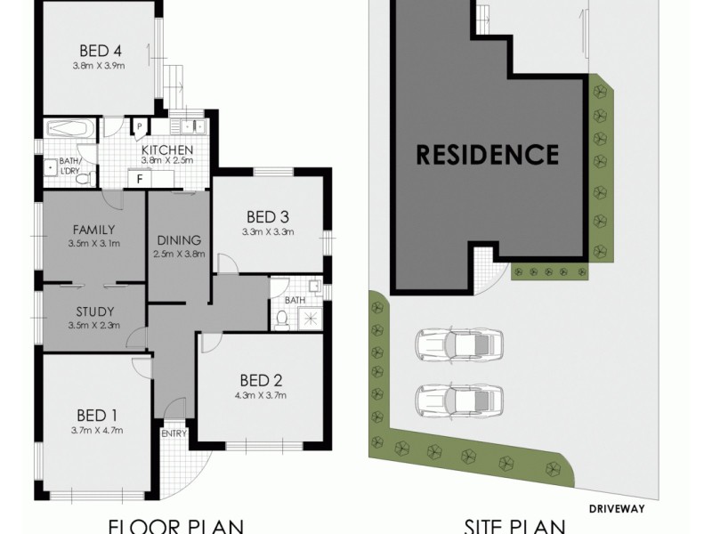 1113 Canterbury Road, Wiley Park NSW 2195 Floorplan