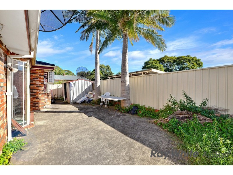1113A Canterbury Road, Wiley Park NSW 2195